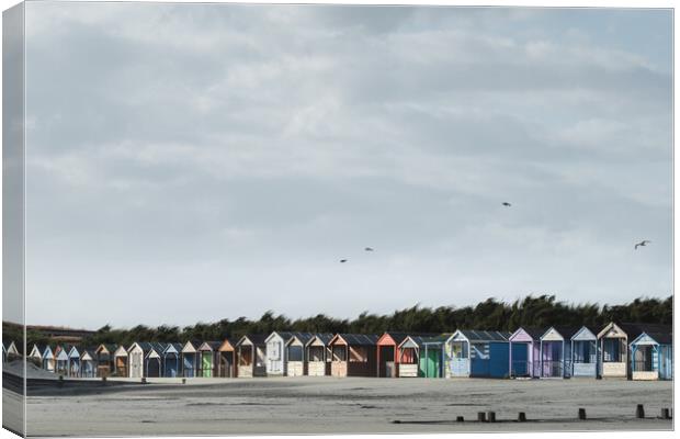 Beach Huts, West Wittering Canvas Print by Mark Jones