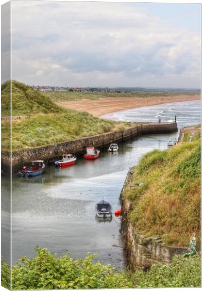 Seaton Sluice Northumberland in the sfternoon dun  Canvas Print by Tony lopez