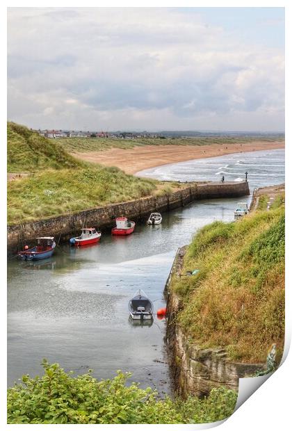 Seaton Sluice Northumberland in the sfternoon dun  Print by Tony lopez