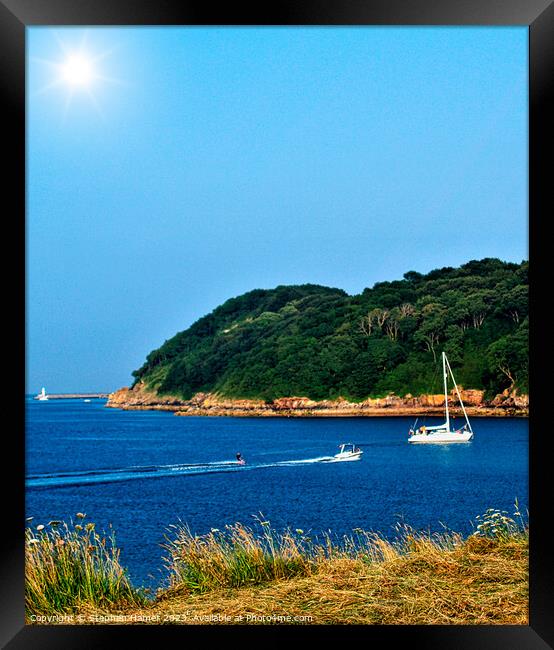 Watery Symphony at Elbury Cove Framed Print by Stephen Hamer