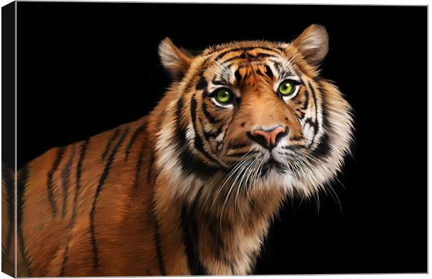 Sumatran Tiger Canvas Print by Julie Hoddinott