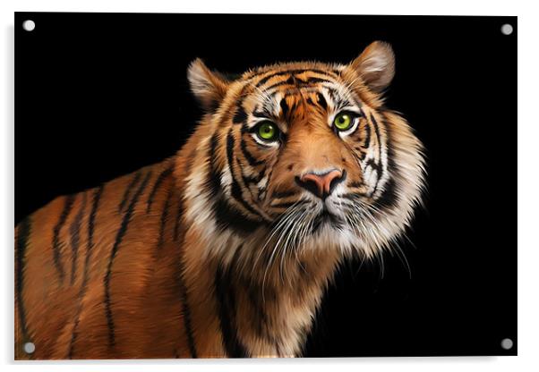 Sumatran Tiger Acrylic by Julie Hoddinott