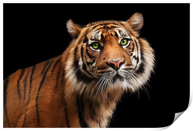 Sumatran Tiger Print by Julie Hoddinott
