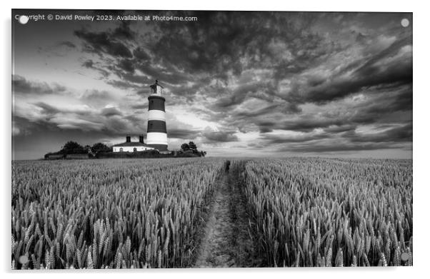 Clouds Over Happisburgh Lighthouse Monochrome Acrylic by David Powley