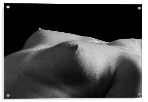 Fine art female bodyscape Acrylic by Will Ireland Photography