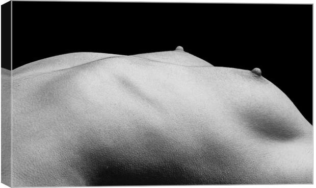 Fine art female bodyscape Canvas Print by Will Ireland Photography