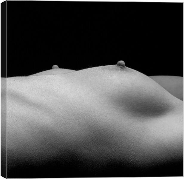 Fine art female bodyscape Canvas Print by Will Ireland Photography