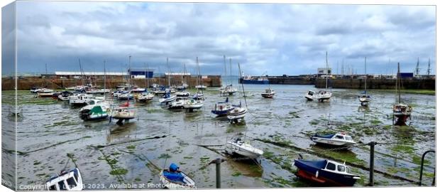 Boat Harbour Canvas Print by Lisa PB