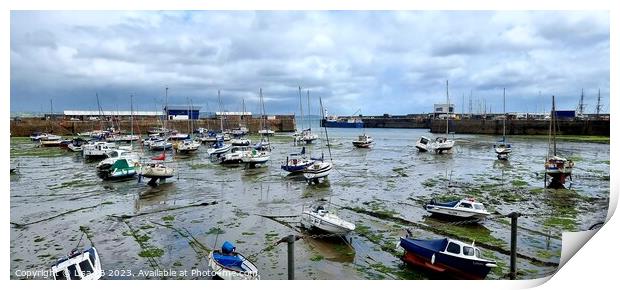 Boat Harbour Print by Lisa PB