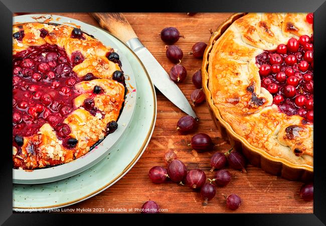 Homemade berry pie. Framed Print by Mykola Lunov Mykola