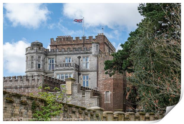 Brownsea Castle Hotel flying the union Jack, Dorset, England Print by Dave Collins