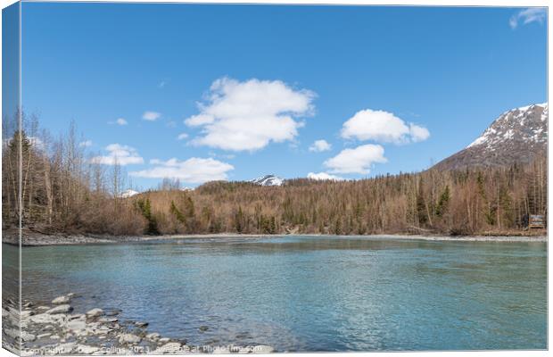 The Kenai River East of Sterling in Alaska, USA. Canvas Print by Dave Collins