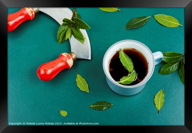 Cup of tea of bay leaf Framed Print by Mykola Lunov Mykola