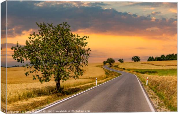 Road among summer ripe fields Canvas Print by Sergey Fedoskin