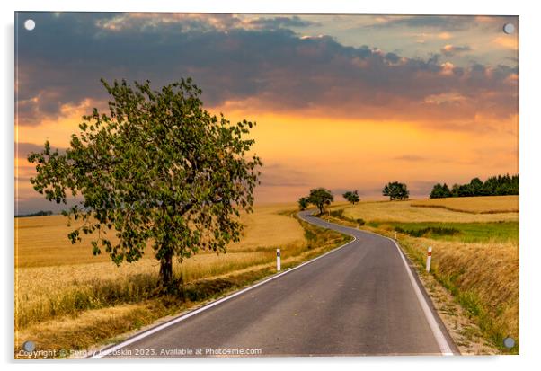 Road among summer ripe fields Acrylic by Sergey Fedoskin