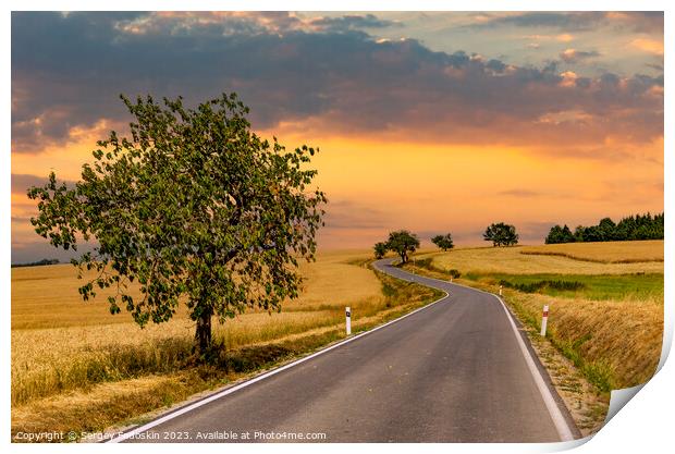 Road among summer ripe fields Print by Sergey Fedoskin