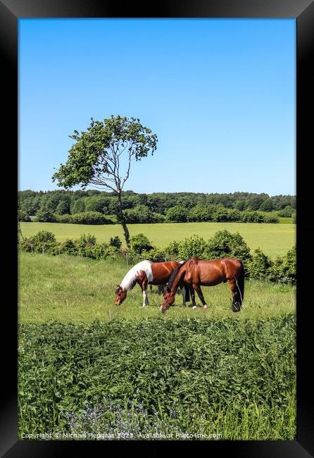 Beautiful panorama of grazing horses on a green meadow during springtime Framed Print by Michael Piepgras