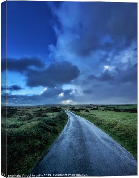 Road to nowhere  Canvas Print by Paul Forgette