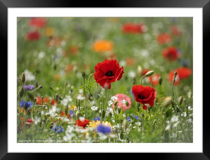 Poppy and wild flower field Framed Mounted Print by Simon Johnson