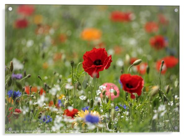 Poppy and wild flower field Acrylic by Simon Johnson