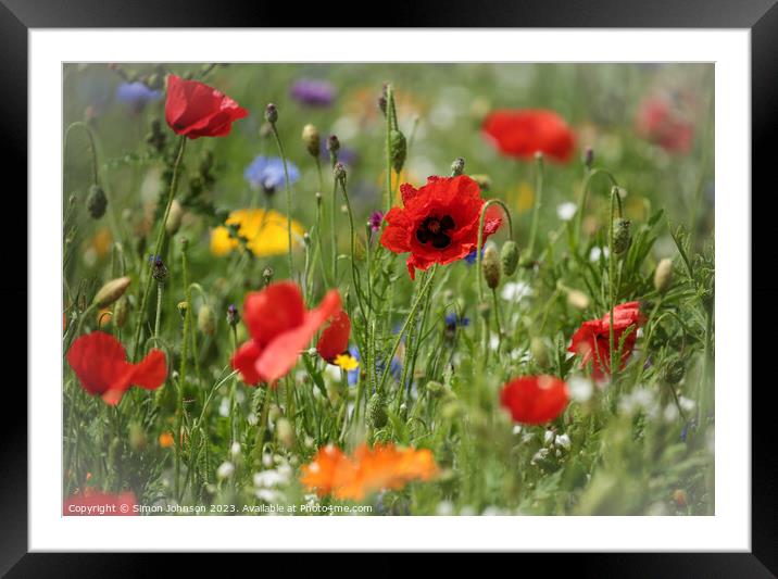 Poppy flowers Framed Mounted Print by Simon Johnson