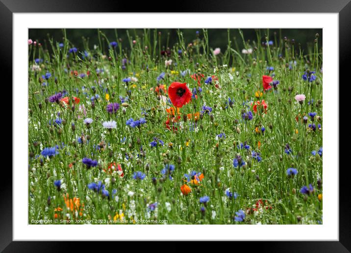 Poppy and wild flowers in the rain Framed Mounted Print by Simon Johnson