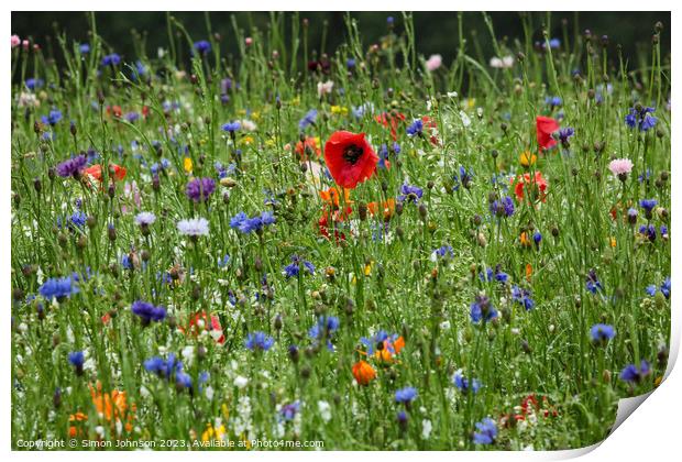Poppy and wild flowers in the rain Print by Simon Johnson