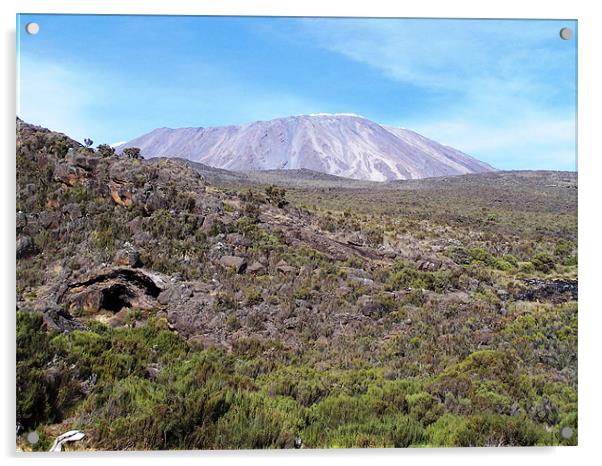 Mount Kilimanjaro Acrylic by Helen Massey
