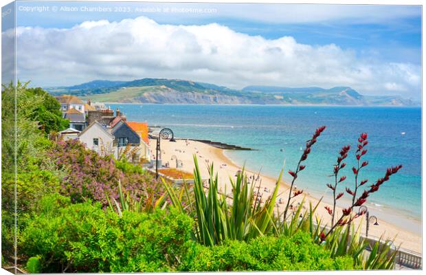 Lyme Regis  Canvas Print by Alison Chambers