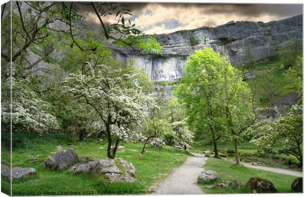 Malham Cove In The Spring  Canvas Print by Alison Chambers