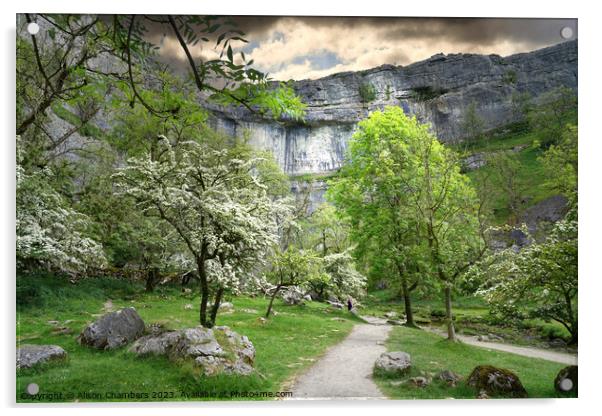 Malham Cove In The Spring  Acrylic by Alison Chambers