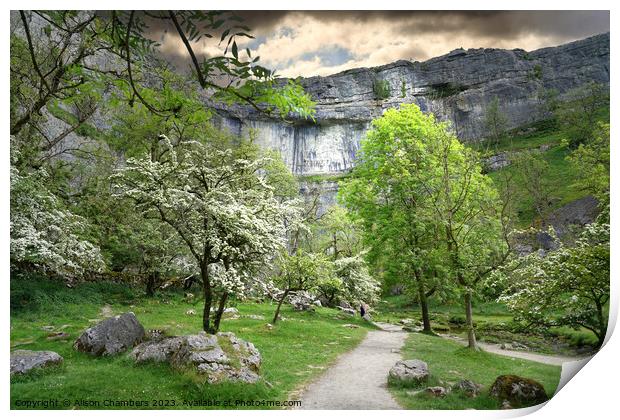 Malham Cove In The Spring  Print by Alison Chambers