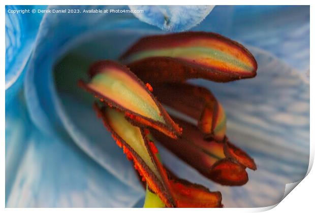 Ethereal Lily in Abstract Print by Derek Daniel