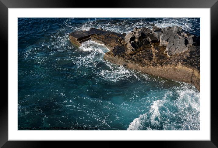 Funchal, Madeira Framed Mounted Print by Tom Lloyd