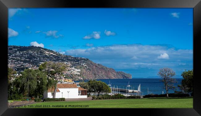 Funchal, Madeira Framed Print by Tom Lloyd