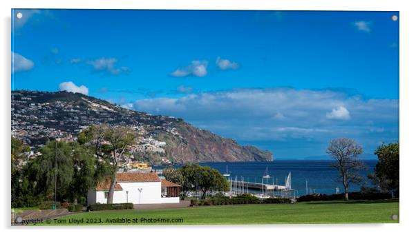 Funchal, Madeira Acrylic by Tom Lloyd