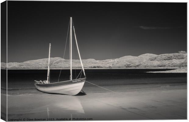 Serenity by the Sea Canvas Print by Dave Bowman