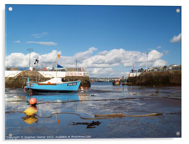 Unveiling Paignton Harbour: Low Tide Acrylic by Stephen Hamer
