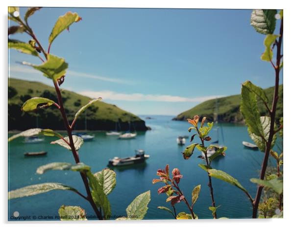Solva harbour Pembrokeshire Acrylic by Charles Powell