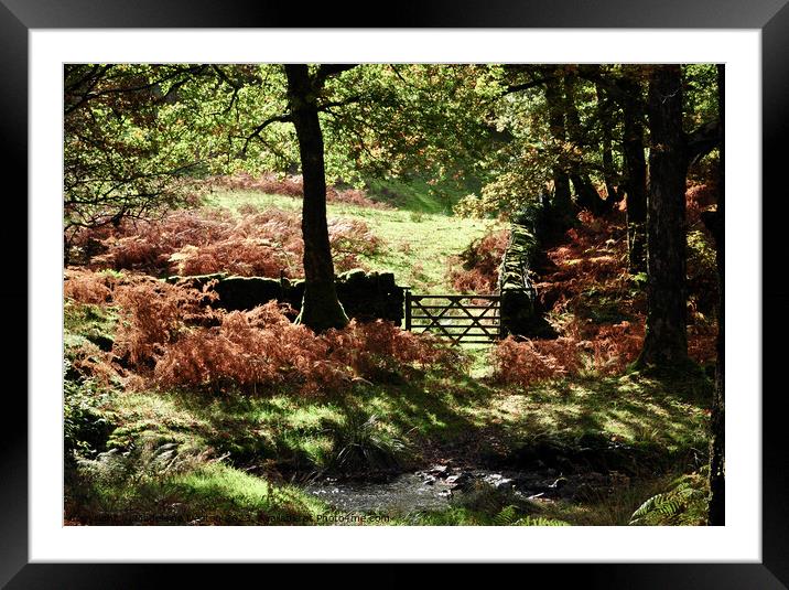 Autumn in the Lake District Framed Mounted Print by Madeleine Deaton