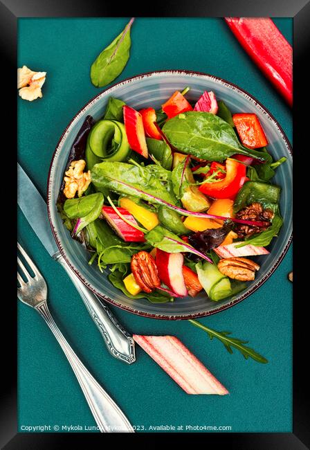Green vegan vitamin salad. Framed Print by Mykola Lunov Mykola