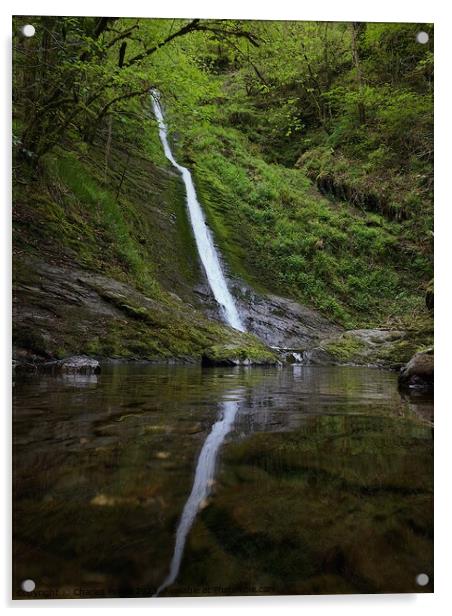 Whitelady waterfall Lydford  Acrylic by Charles Powell