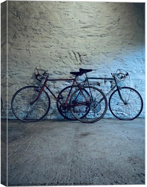 Two favourite bicycles Canvas Print by Charles Powell