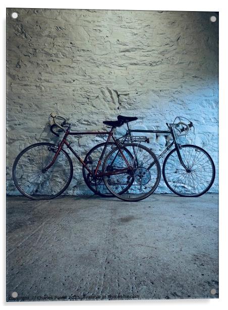 Two favourite bicycles Acrylic by Charles Powell