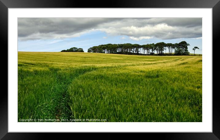 Enthralling Inverugie Pastoral Scene Framed Mounted Print by Tom McPherson
