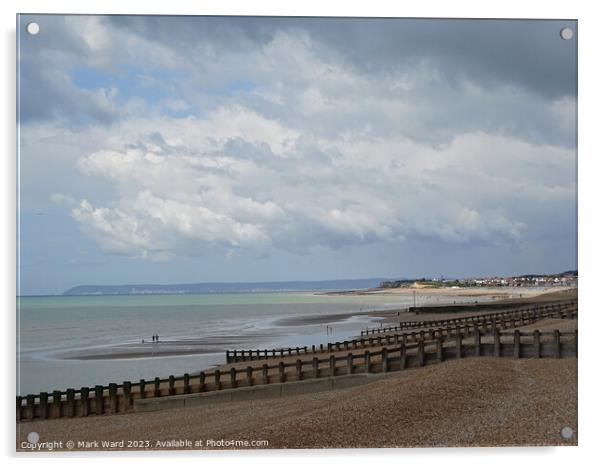 The Sussex Coast Acrylic by Mark Ward