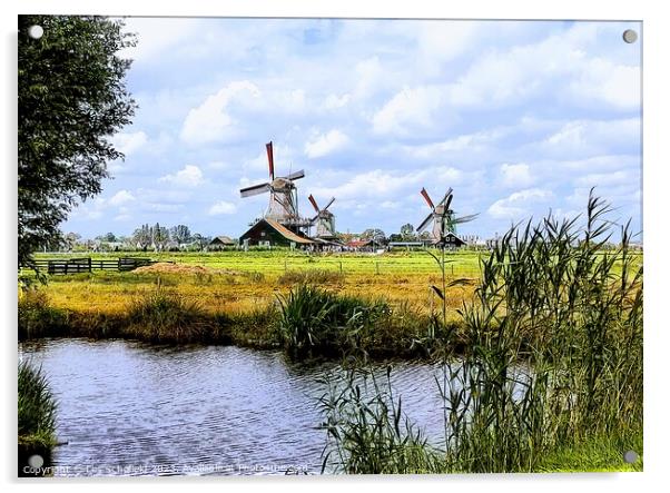 Dutch windmills scene  Acrylic by Les Schofield
