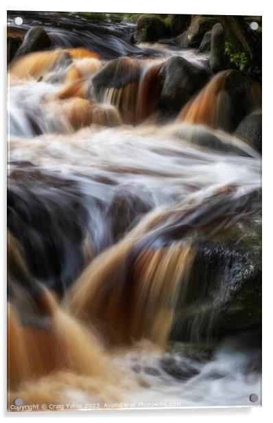 Padley Gorge Waterfall Rapids. Acrylic by Craig Yates