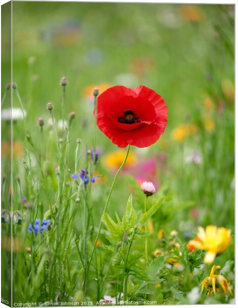 A close up of a Poppy flower Canvas Print by Simon Johnson