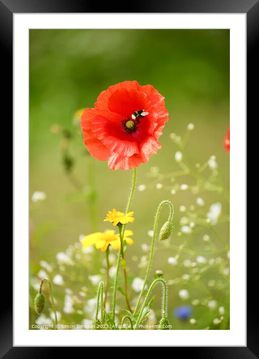 Plant flower Framed Mounted Print by Simon Johnson